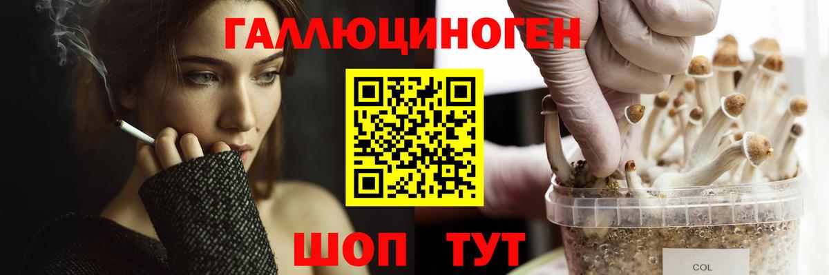 Галлюциногенные грибы Cubensis  Галлюциногенные грибы MAGIC MUSHROOMS  Вход с VPN  Гусев 